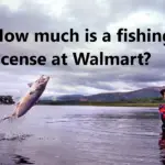 How much is a fishing license at Walmart?﻿