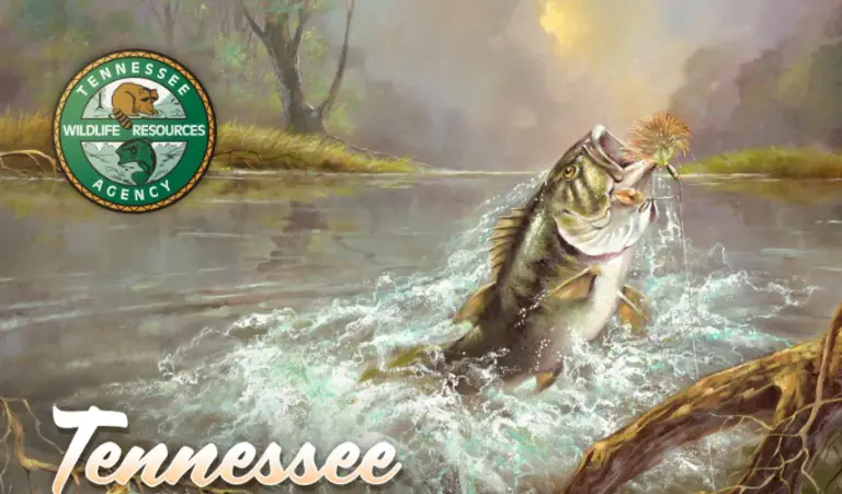 Tennessee fishing license cost