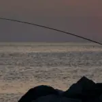 walmart fishing license rhode island