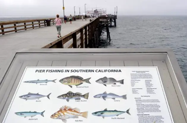 pier fishing california